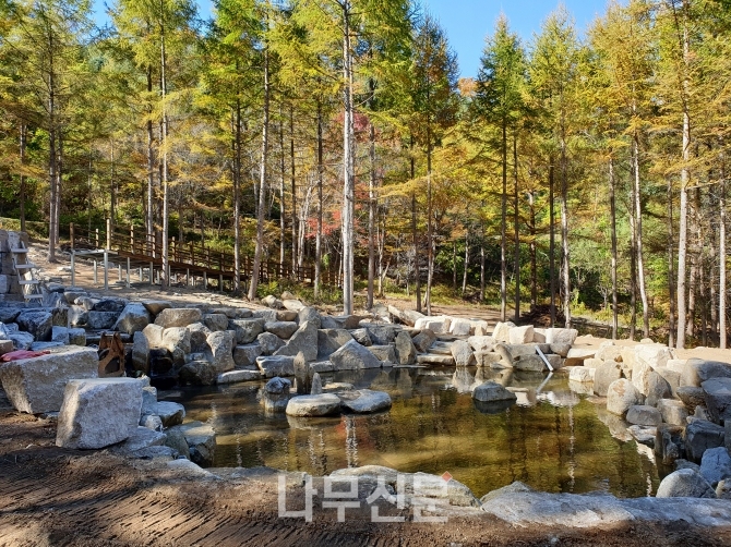 김천 수도산 치유의 숲, 세심지. 사진=산림청