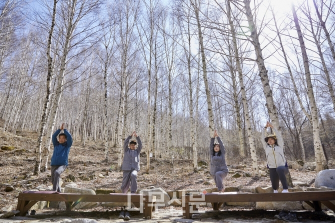 김천 수도산 치유의숲, 산림치유. 사진=산림청.