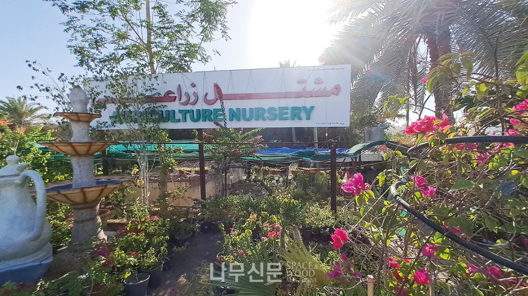 화초판매장에는 ‘농업묘목장’이라는 간판이 붙어있다.
