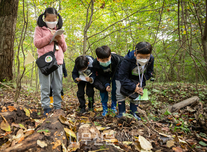 국립수목원은 교육기부 활성화에 기여한 기관의 우수성을 인정받아 ‘대한민국 교육기부 대상’을 수상했다. 사진은 우리 산림생물 바로알기 탐험대 활동 사진.
