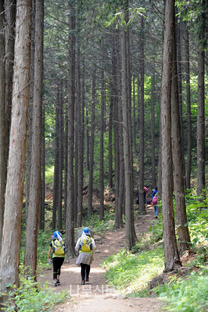지리산둘레길_전남 구례군 밤재.