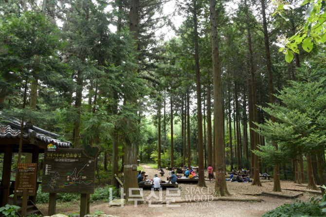 장성치유의숲_전남 장성군 서삼면.