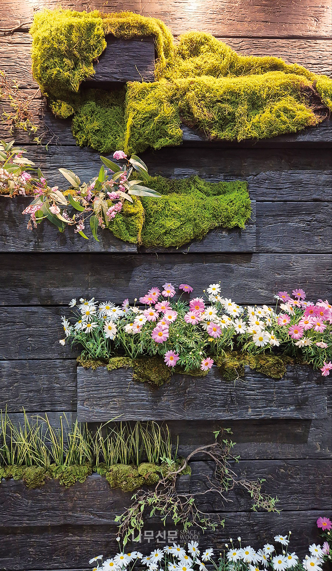 밀보드 수직정원 spec 설계 및 설치▷정정수벽체소재▷케이디우드테크 밀보드 / 올드우드 엠버컬러식물▷핑크싸리, 이끼, 석창포 등의 야생화와 마가렛 생화 포트 및 부자재