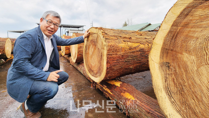 좋은 원목을 고르는 법에 대해 설명하고 있는 하노쇼텐 츄토므 하노 대표.