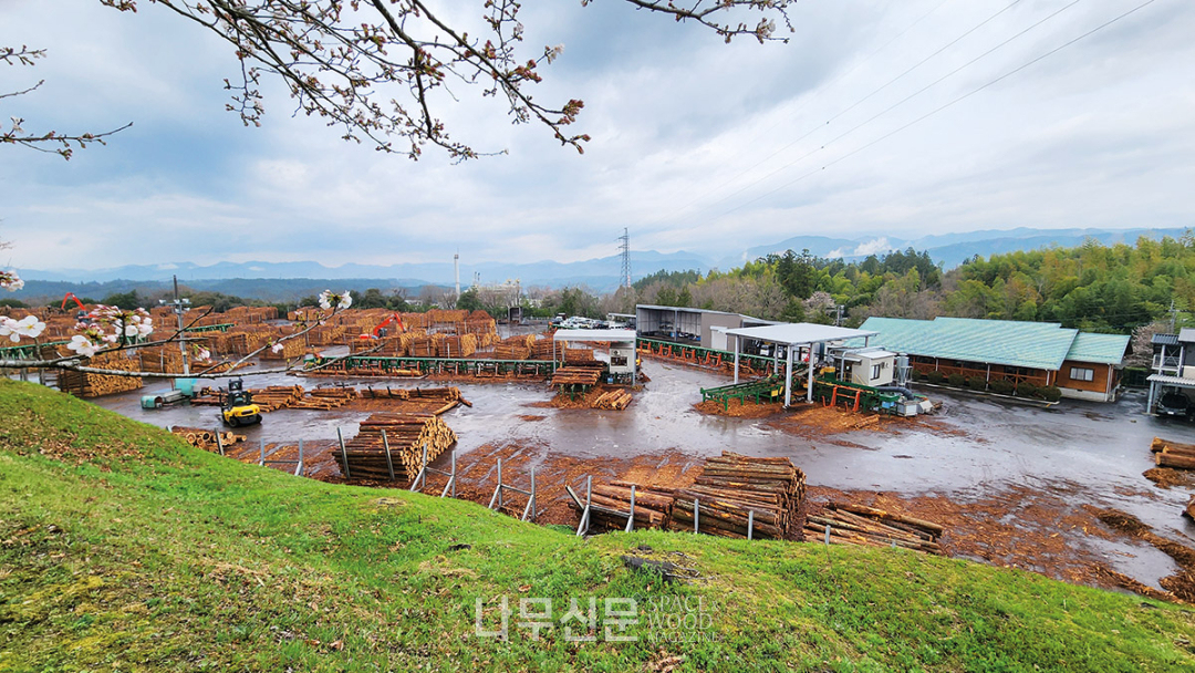 남부목재유통 원목 유통시장 전경. 이곳에서 사용되는 장비 역시 정부의 지원 대상이다.
