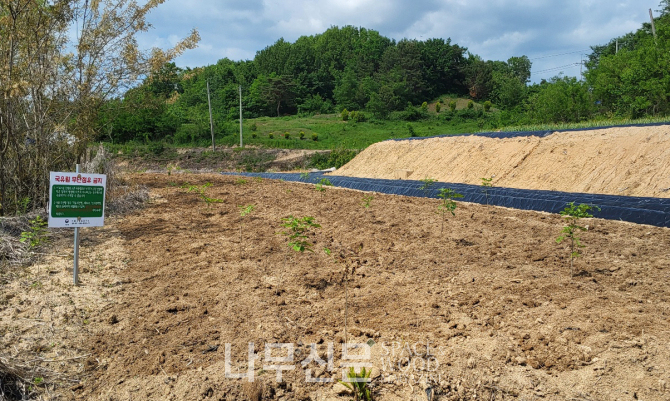 수원국유림관리소는 한강 이남 17개 시·군의 국유임야의 복구조림을 완료했다.