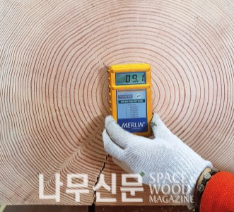 구트드라이로 건조한 목재 중심부. 함수율이 9.1%다.