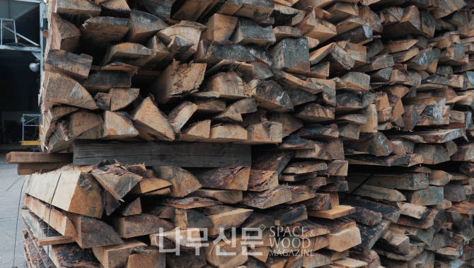 인천 중구 동화기업 파티클보드 생산 공장에 적재된 경북 지역에서 벌목된 산불 피해목. 사진제공=동화기업.